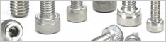 Screws with Ventilation Hole for Vacuum Equipment