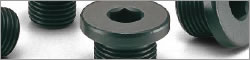 SFF Hexagon Socket Flange Head Screw Plug