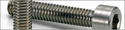 SNSJ Socket Head Cap Screw (SUS310S)