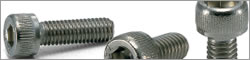 SNSS-FC Socket Head Cap Screw(Fluorine Coating)