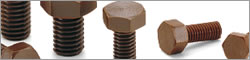SPD-H Hexagon Bolt