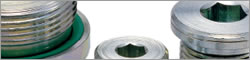 SPN Hexagon Socket Flange Head Screw Plug with O-Ring