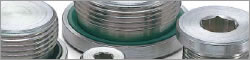 SPN Hexagon Socket Flange Head Screw Plug with O-Ring