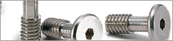 SSCHS Socket Head Cap Captive Screw (Special Low Head)