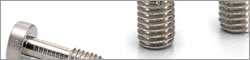 SSCLS Socket Head Cap Captive Screw (Low Head)