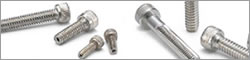 SVSS-INCH �Z�p���t���{���g